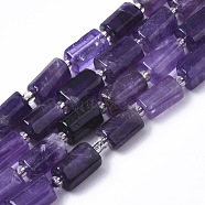 Natural Amethyst Beads Strands, Faceted, Column, 8~11x6~8x5~7mm, Hole: 1mm, about 17pcs/strand, 7.48 inch(X-G-S345-8x11-004)