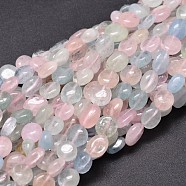 Natural Morganite Chip Beads Strands, Tumbled Stone, 8~10x8~9mm, Hole: 1mm, about 15.5 inch(G-E271-132)