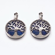Natural Lapis Lazuli Pendants, with Brass Finding, Flat Round with Tree of Life, Platinum, 31x27x6mm, Hole: 5x8mm(G-E449-C11)