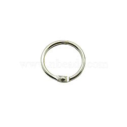 Iron Loose Leaf Book Binder Hinged Rings, Platinum, 0.3cm, Inner Diameter: 3.8cm(SCRA-PW0004-124G)