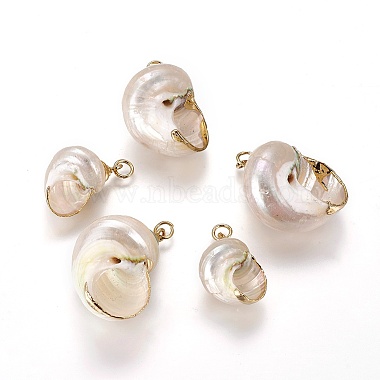 Electroplate Spiral Shell Pendants(Y-BSHE-L036-02G)-2