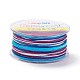 Segment Dyed Polyester Thread(NWIR-I013-D-21)-1