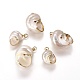 Electroplate Spiral Shell Pendants(Y-BSHE-L036-02G)-2