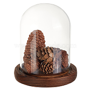 Glass Dome Cover, Decorative Display Case, Cloche Bell Jar Terrarium with Wood Base, for DIY Preserved Flower Gift, Camel, 103x160mm(AJEW-WH0475-19C)