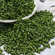 Baking Paint Glass Seed Beads, Cylinder, Olive Drab, 2.5x2mm, Hole: 1.4mm, about 45359pcs/pound(SEED-S042-05A-21)