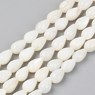 Natural Freshwater Shell Beads Strands, Teardrop, Seashell Color, 7~8x5mm, Hole: 0.8mm, about 52pcs/Strand, 14.96 inch(38cm)(SSHEL-R048-007B)
