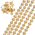 5Bags Flower Iron Decoration Strip, with Iron Upholstery Nails, for Sofa Accessories, Golden, 1000x11x3mm, Screw: 16x11mm(FIND-GF0008-41A-G)