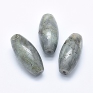 Natural Labradorite Beads, Half Drilled, Rice, 42.5~44x19~20mm, Hole: 3mm(G-P384-T26)