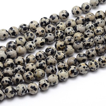 Natural Dalmatian Jasper Round Bead Strands, 10mm, Hole: 1mm, about 40pcs/strand, 16 inch