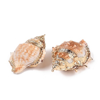 Natural Conch Shell Big Pendants, Shell Shaped Charms with Golden Tone Iron Loops, Sandy Brown, 63~88x43.5~56x30.5~42mm, Hole: 1.4~1.8mm