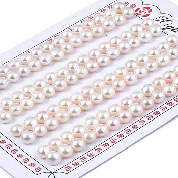 Half Drilled Natural Cultured Freshwater Pearl Beads, Half Round, Seashell Color, 5~6x4~4.5mm, Hole: 1mm