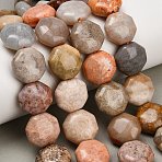 Natural Fossil Coral Beads Strands, Octagon, 16~17x16~17x8~9mm, Hole: 1.2mm, about 23pcs/strand, 14.96''(38cm)(GG-CBA362F-01)