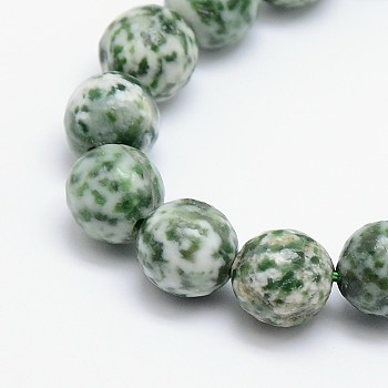 Natural Green Spot Jasper Beads Strands, Round, Faceted, 14mm, Hole: 1mm, about 28pcs/strand, 15.5 inch