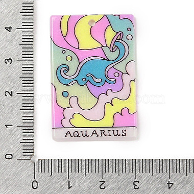 pendentifs acryliques(MACR-U002-01A-07)-3