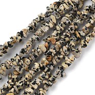 Natural Dalmatian Jasper Beads Strands, Chip, 1.5~4.5x3~13x2.5~8mm, Hole: 0.6mm, 30.94~31.97 inch(78.6~81.2cm)(G-G0003-B29)