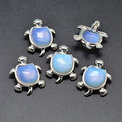 Tortoise Platinum Plated Brass Opalite Pendants, Cadmium Free & Lead Free, 27x21x7mm, Hole: 3x5mm(G-F228-19C-RS)