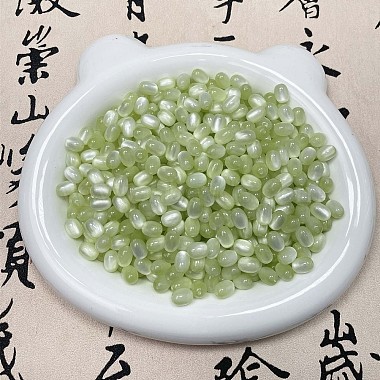 Resin Beads(X1-RESI-YW0004-73D)-1