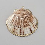 Electroplated Natural Shell Pendants, Shell Shaped Charms with Golden Tone Brass Loops, Indian Red, 42~58x37.5~52x6~11mm, Hole: 1.2~1.8mm(FIND-WH20019-54D)