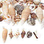 30Pcs 5 Styles Natural Mixed Shell Pendants, Shell Shaped Charms with Copper Wire Loops, Golden, Mixed Color, 24~49x11~31x11~20mm, Hole: 3~5mm, 6pcs/style(PALLOY-GO00046)