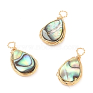 Natural Abalone Shell/Paua Shell Pendants, with Eco-Friendly Copper Wire Wrapped, Teardrop, Real 18K Gold Plated, 17.5x10x3~3.5mm, Hole: 2mm(PALLOY-JF00475-01)