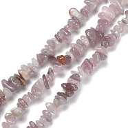Natural Rose Quartz Beads Strands, Chip, 5~15x5.5~6x2.5~4mm, Hole: 0.7mm, 30.31''~30.71''(77~78cm)(G-P497-03A-02)