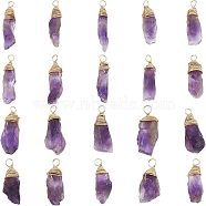 Natural Amethyst Pendants, with Real 18K Gold Plated Eco-Friendly Copper Wire, Nuggets, 26~31x8.5~9x5.5~7mm, Hole: 3mm, 20pcs/box(FIND-FG0001-62)