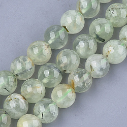 Natural Prehnite Beads Strands, Round, 12mm, Hole: 1mm, about 33~37pcs/strand, 15.3 inch(G-S333-12mm-032)