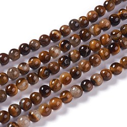 Natural Yellow Tiger Eye Beads Strands, Grade B, Round, 8mm, Hole: 1mm, about 45~47pcs/strand, 14.37 inch~14.76(36.5~37.5cm)(G-H238-8mm)