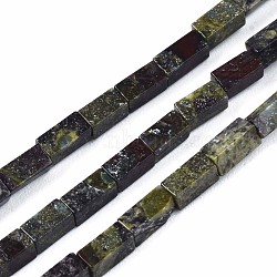 Natural Dragon Blood Jasper Beads Strands, Cuboid, 4~5x2x2mm, Hole: 0.8mm, about 82~84pcs/strand, 14.76~15.15 inch(37.5~38.5cm)(G-S299-135)