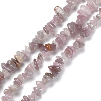 Natural Rose Quartz Beads Strands, Chip, 5~15x5.5~6x2.5~4mm, Hole: 0.7mm, 30.31''~30.71''(77~78cm)