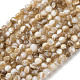 Natural Freshwater Shell Beads Strands(SHEL-K006-71C)-1