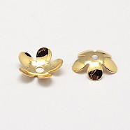 5-Petal Grade AAA Brass Bead Caps, Cadmium Free & Nickel Free & Lead Free, Flower, Golden, 8x2mm, Hole: 1mm(KK-E711-076G-NR)