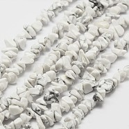 Natural Howlite Beads Strand, Chip, White, 3~4x3~8x4~5mm, Hole: 0.4mm, 33.5 inch(G-F328-05)