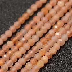 Natural Sunstone Beads Strands, Faceted, Round, 2mm, Hole: 0.5mm, about 178pcs/strand, 15.3 inch(39cm)(G-K182-2mm-13)