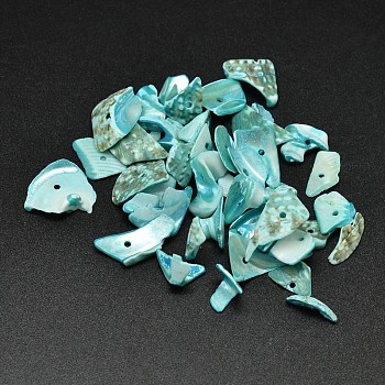 Dyed Natural Shell Nuggets Chips Beads, Medium Turquoise, 9~23x7~12mm, Hole: 1mm, about 1150pcs/500g