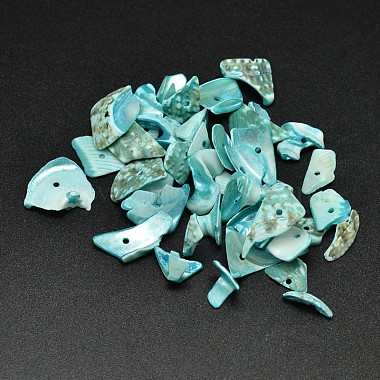 Medium Turquoise Nuggets Other Sea Shell Beads