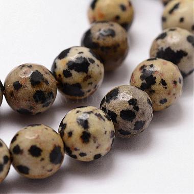 Natural Dalmatian Jasper Beads Strands(G-D840-49-8mm)-3