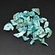 Dyed Natural Shell Nuggets Chips Beads(BSHE-O007-06M)-1