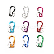 Aluminum Oval Carabiner Keychain, with Iron Clasps, Mixed Color, 60.5x29mm(KEYC-C011-M)