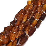 Natural Amber Beads Strands, Nuggets, 10~18x9~13x5~8mm, Hole: 0.8mm, about 24pcs/strand, 15.35''(39cm)(G-E576-62)