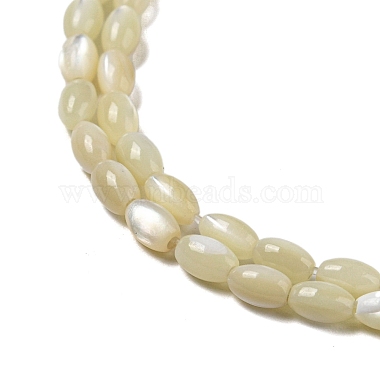 Natural Trochus Shell Beads Strands(SSHEL-H072-02B)-3
