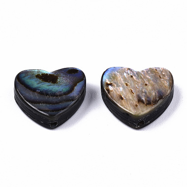 Natural Abalone Shell/Paua Shell Beads(SSHEL-T014-16B)-2