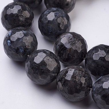Natural Larvikite Beads Strands(G-J376-47B-18mm)-3
