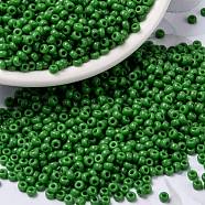 MIYUKI Round Rocailles Beads, Japanese Seed Beads, (RR411) Opaque Green, 8/0, 3mm, Hole: 1mm about 422~455pcs/bottle, 10g/bottle(SEED-JP0009-RR0411)