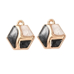 Alloy Enamel Pendants, Hexagon Charms, Golden, 18x17x4mm, Hole: 1.8mm(FIND-K030-02D-G)