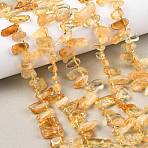 Heated Natural Citrine Beads Strands, Chip, Top Drilled, with Seed Beads, 9~28x5~11x3~7mm, Hole: 1mm, about 46~59pcs/strand, 15.16~15.55''(38.5~39.5cm)(G-F821-C04-01)