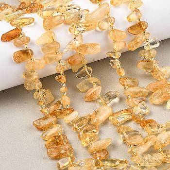 Heated Natural Citrine Beads Strands, Chip, Top Drilled, with Seed Beads, 9~28x5~11x3~7mm, Hole: 1mm, about 46~59pcs/strand, 15.16~15.55''(38.5~39.5cm)