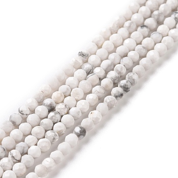 Natural Howlite Beads Strands, Faceted, Round, 2~2.5mm, Hole: 0.6mm, about 162pcs/strand, 15.35''(39cm)
