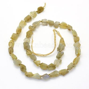 Natural Labradorite Beads Strands(G-K202-11C)-2