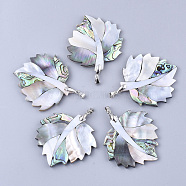 Shell Big Pendants, with Brass Findings, Leaf, Platinum, Colorful, 50~52x51~52x4~5mm, Hole: 6x4mm(SHEL-S275-58)